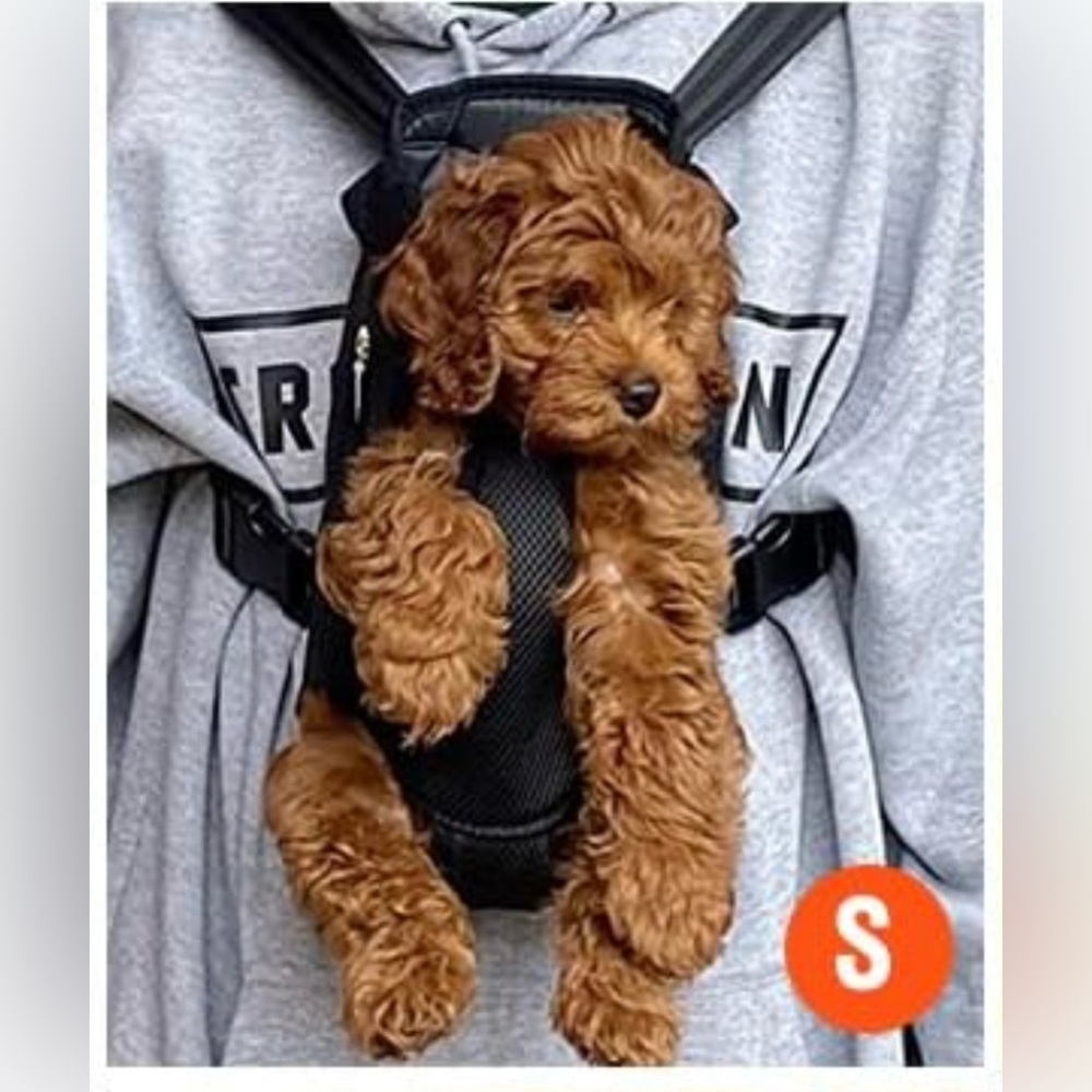 NWT pet body holder small not stains or rips